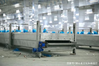 豪运国际集团：抓好生长“牛鼻子” 推动项目“虎年红”